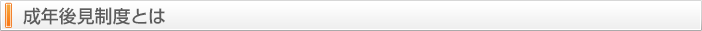 成年後見制度とは