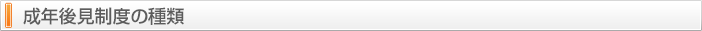 成年後見制度の種類